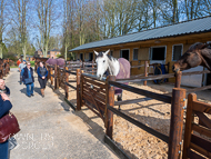 WG250322-12 - Warren Greatrex Stable Visit